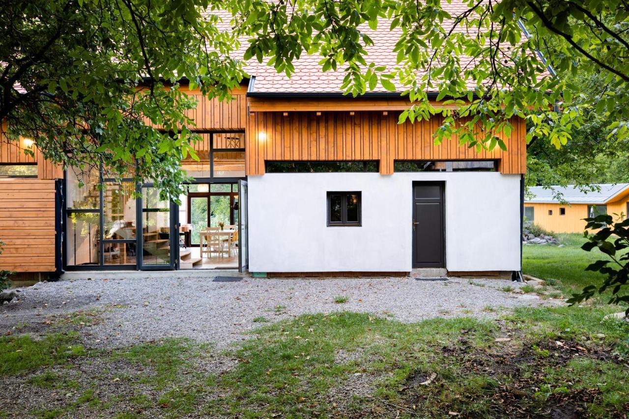 Cîmpu Cetăţii Aster Panzio B&B 외부 사진
