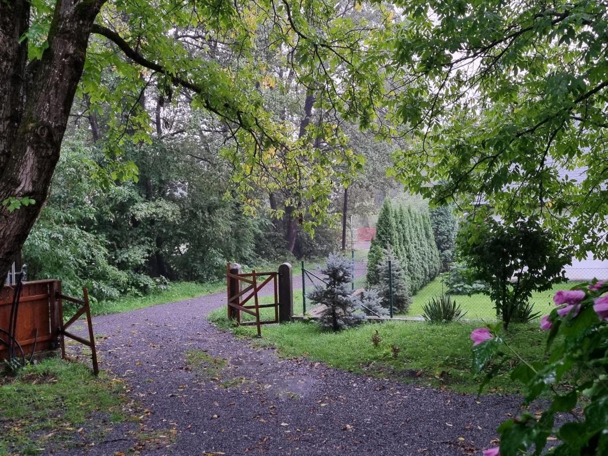 Cîmpu Cetăţii Aster Panzio B&B 외부 사진