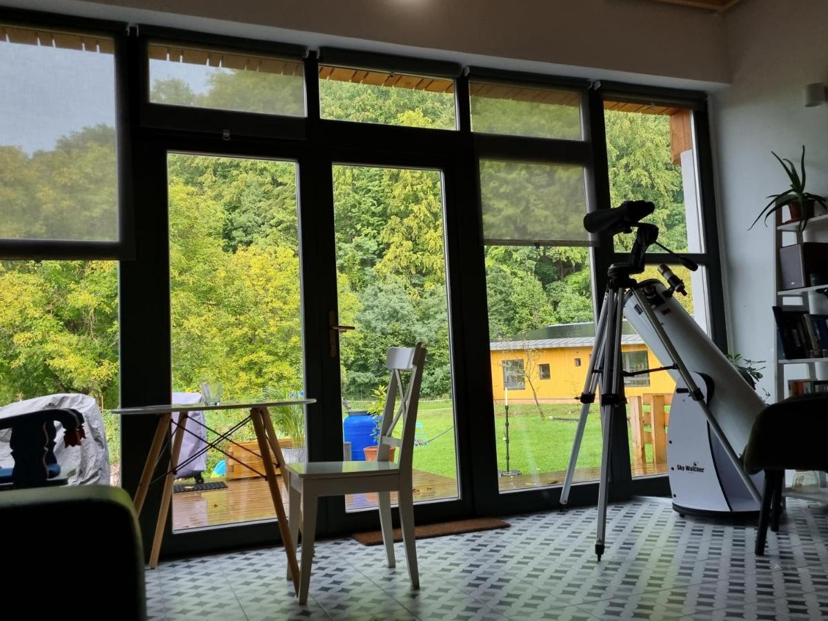 Cîmpu Cetăţii Aster Panzio B&B 외부 사진