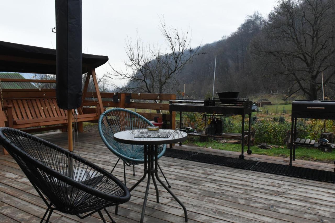 Cîmpu Cetăţii Aster Panzio B&B 외부 사진