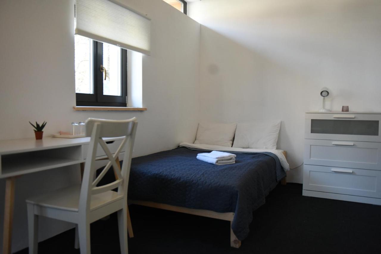 Cîmpu Cetăţii Aster Panzio B&B 외부 사진
