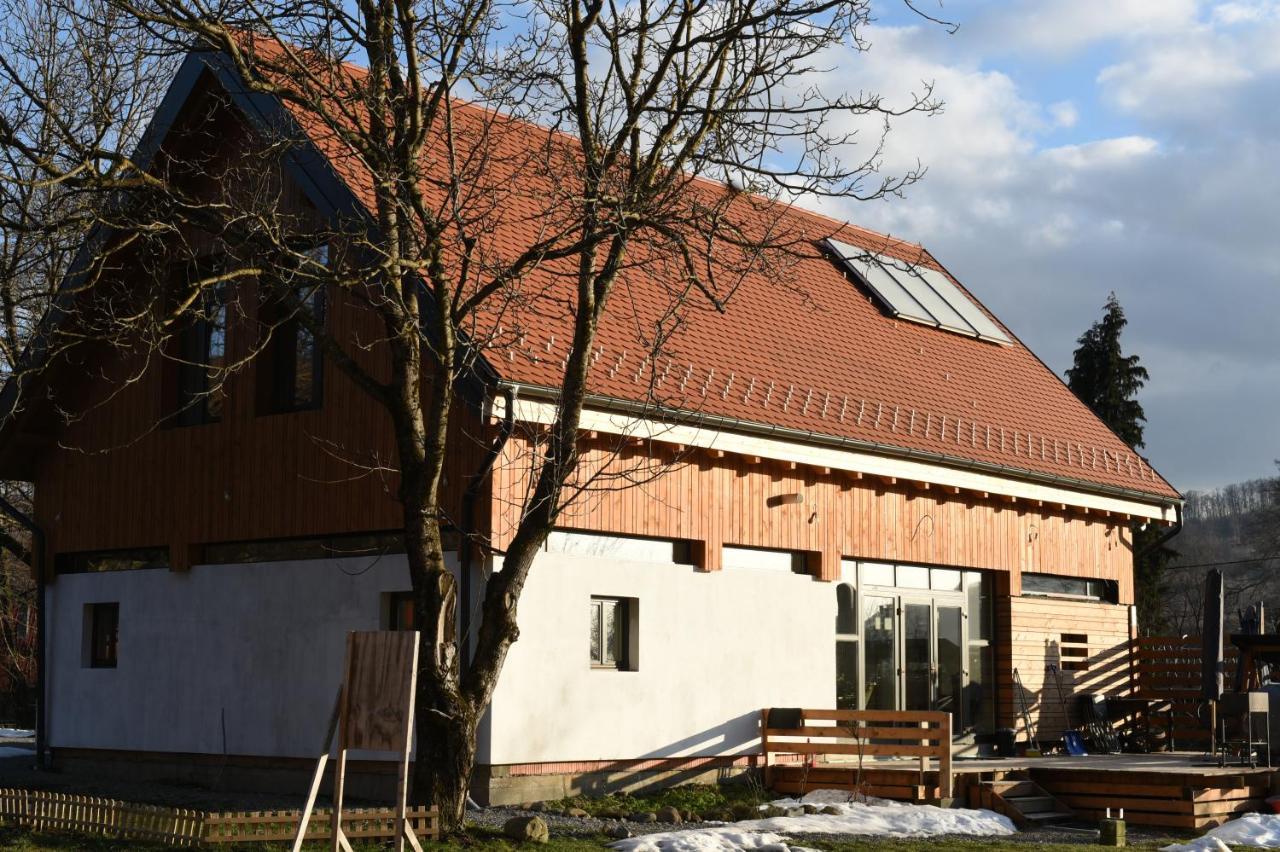 Cîmpu Cetăţii Aster Panzio B&B 외부 사진