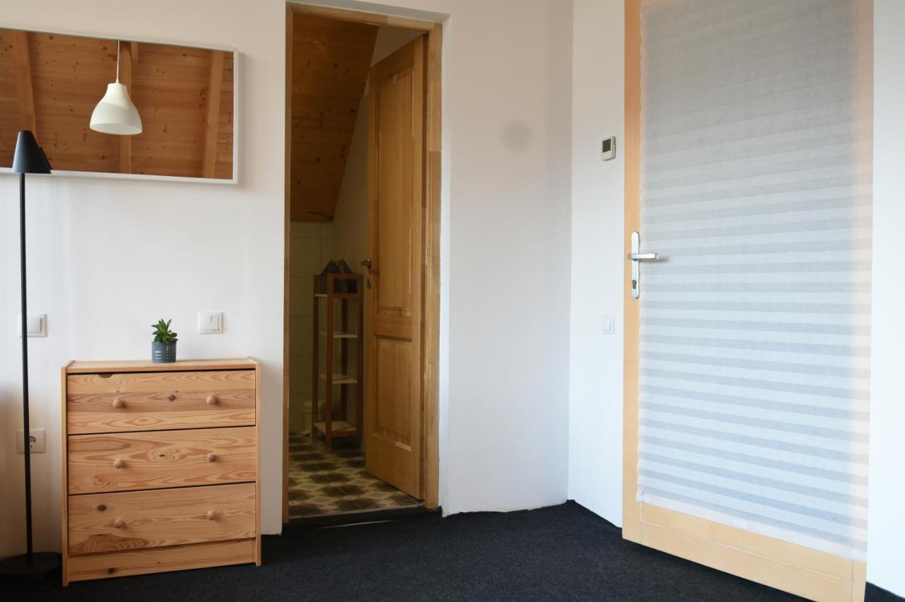 Cîmpu Cetăţii Aster Panzio B&B 외부 사진
