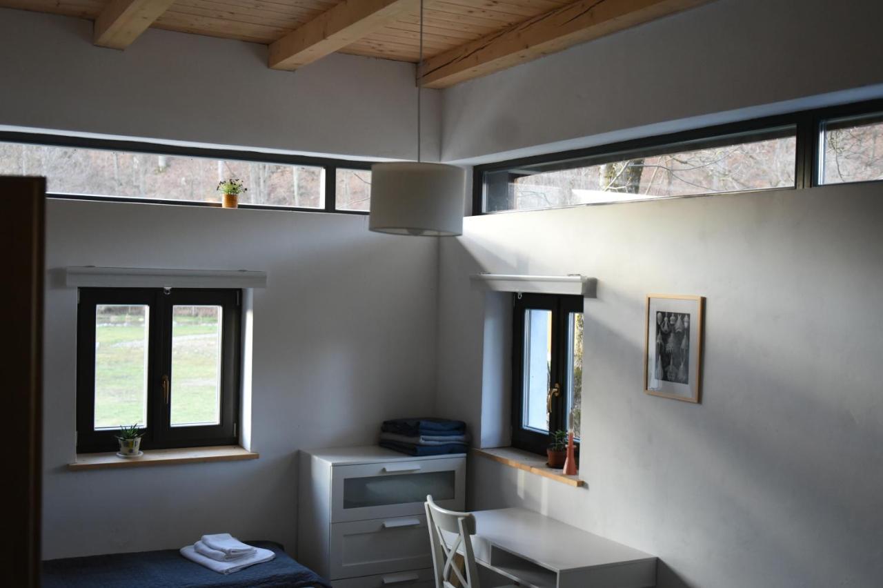 Cîmpu Cetăţii Aster Panzio B&B 외부 사진